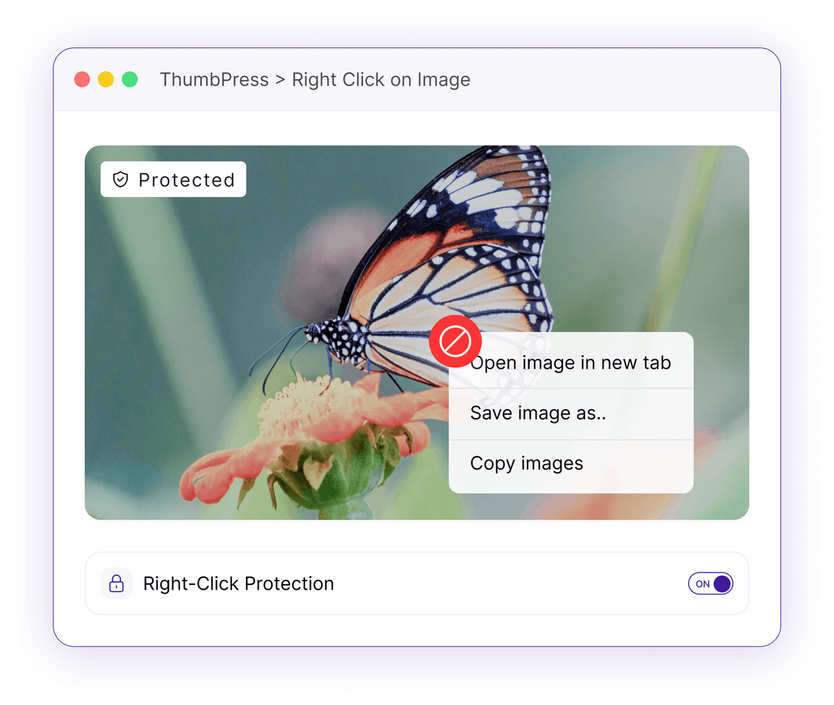 Disable Right-Click to Deter Image Theft