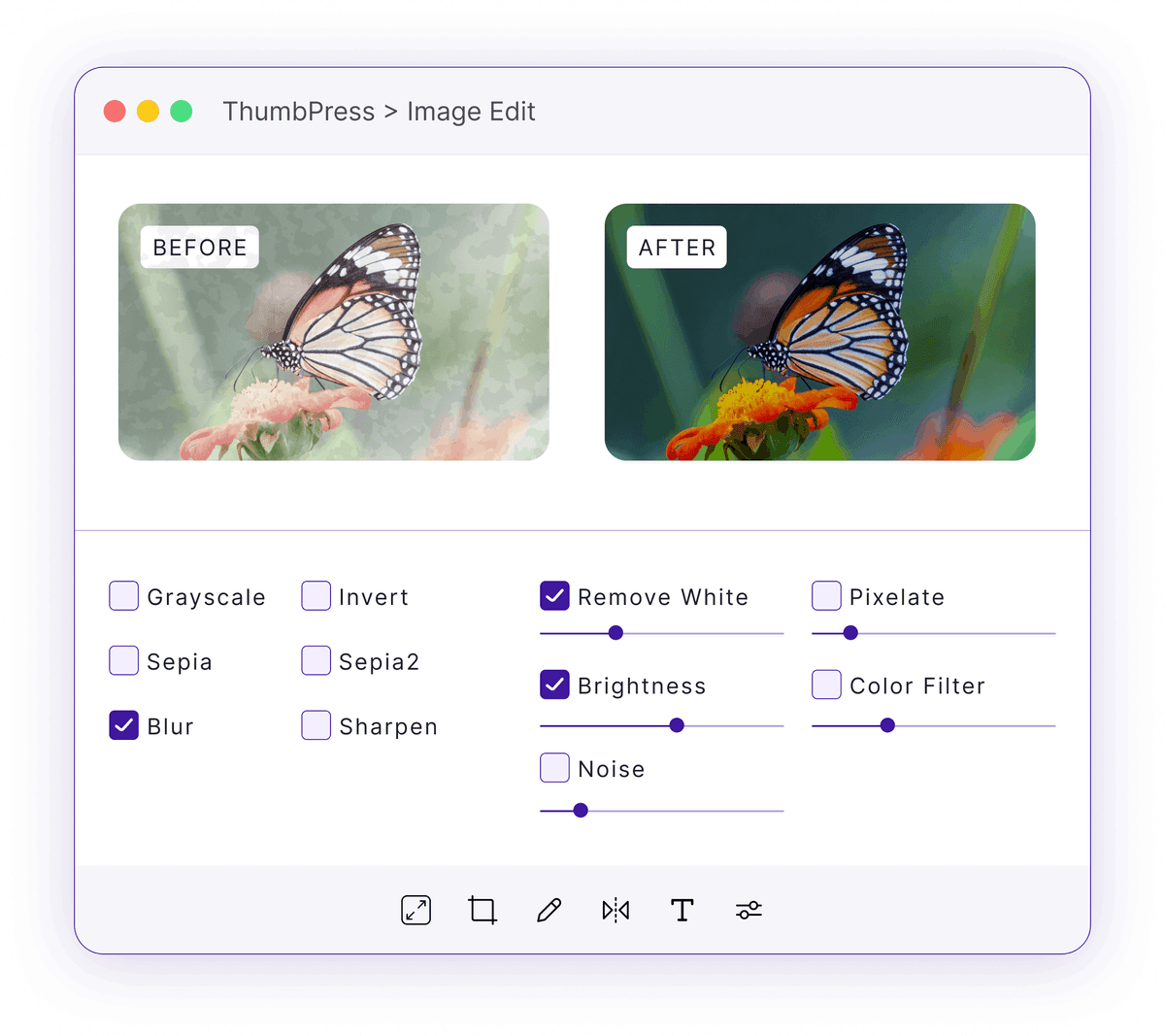 A Real Image Editor Inside WordPress
