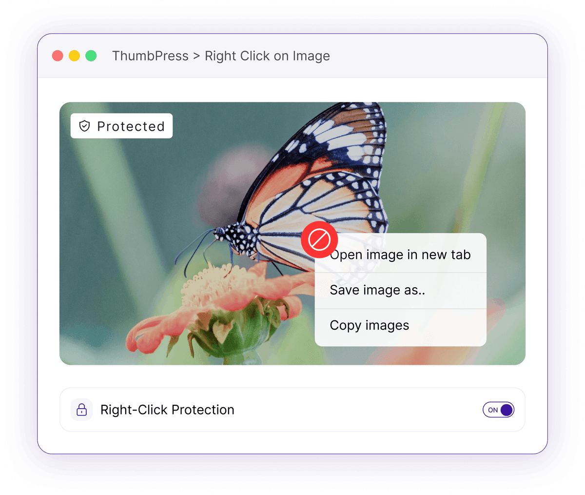 Disable Right-Click to Deter Image Theft