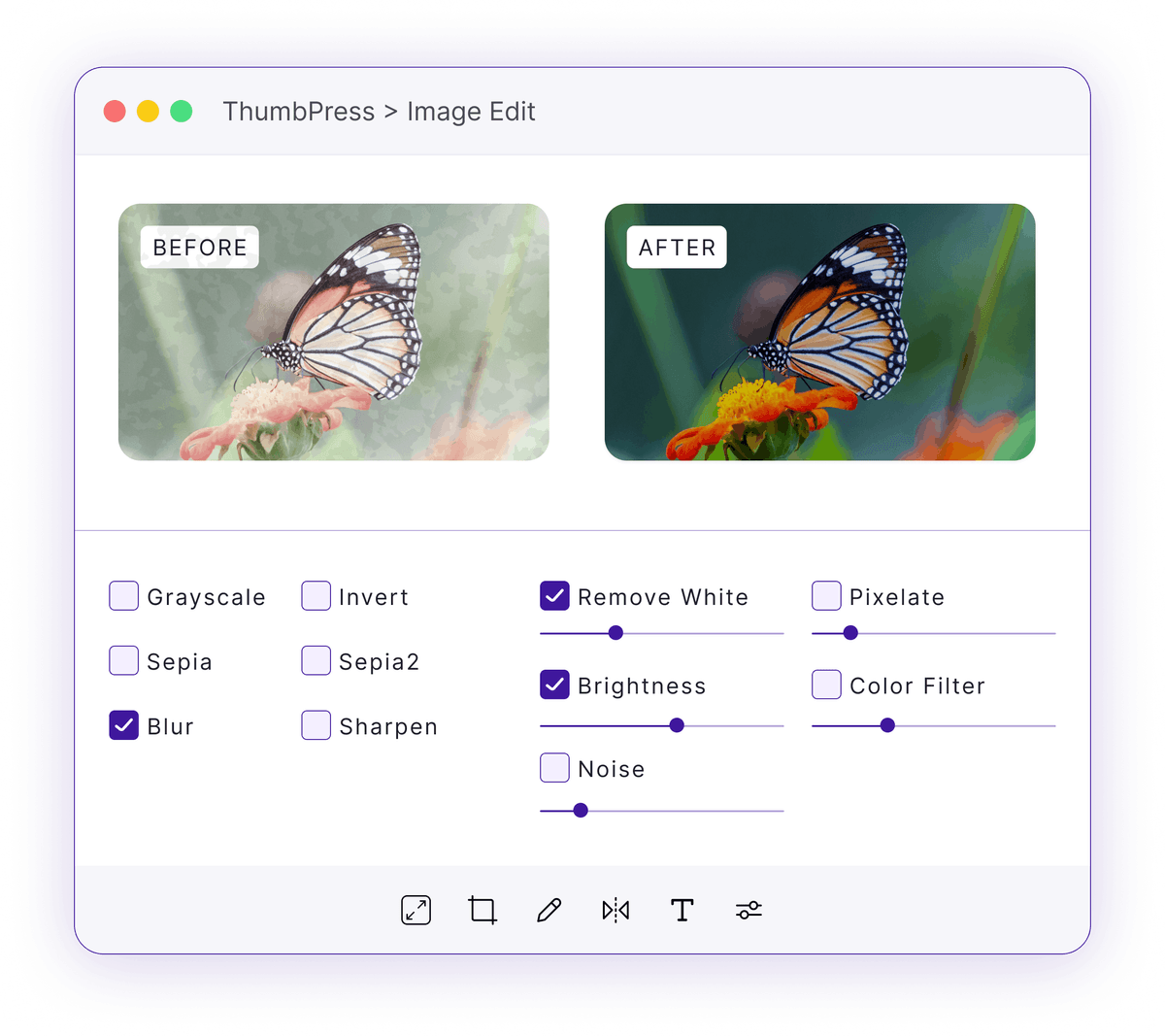 A Real Image Editor Inside WordPress