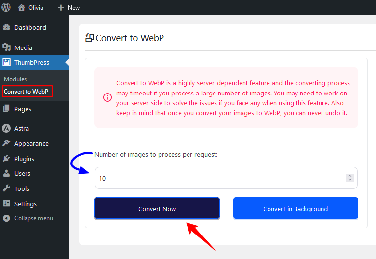 convert-all-webp-images-in-wordpress