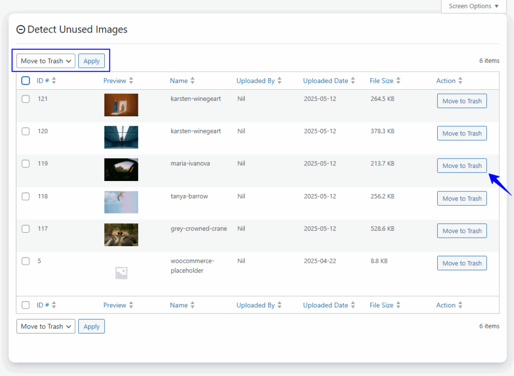 Detect unused images in WordPress site settings.
