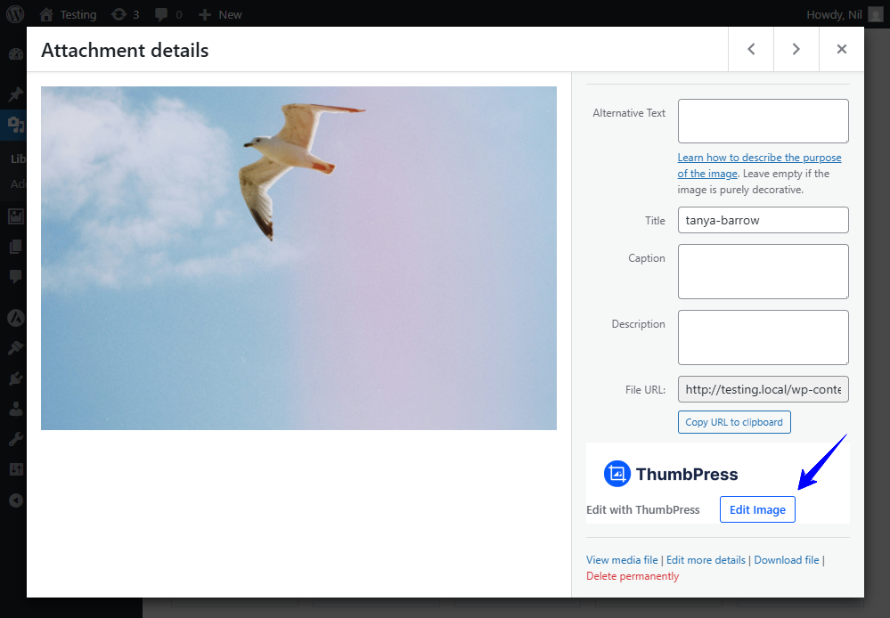 Edit images with WordPress image editor.