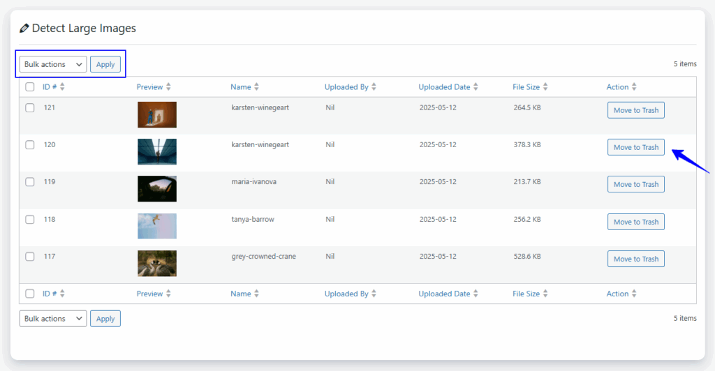 Settings for removing large image in WordPress site.