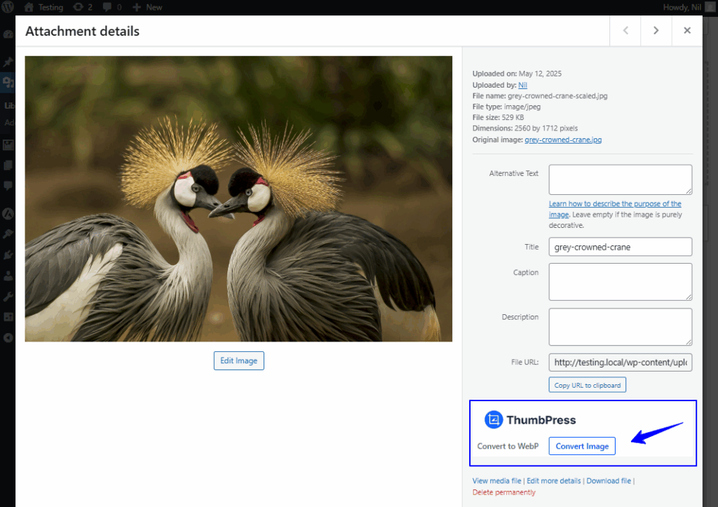 Convert image manually.