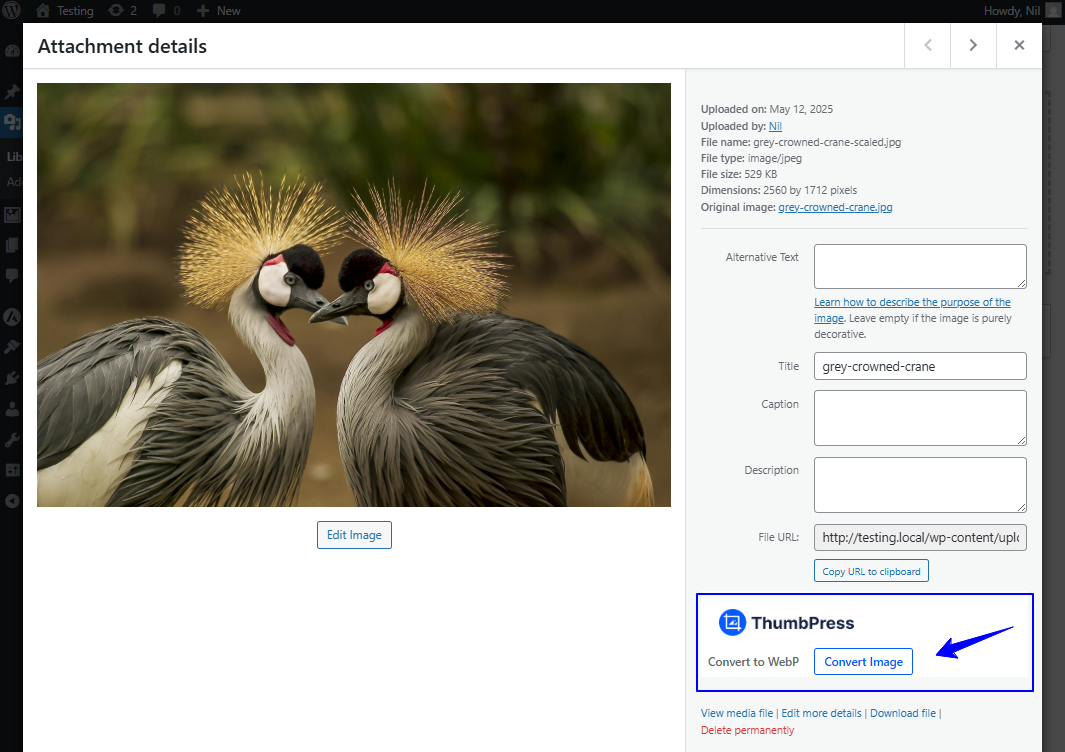 Convert image manually.